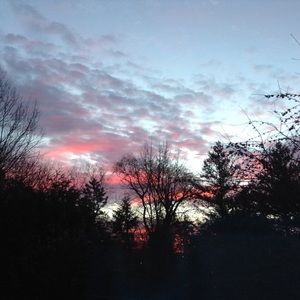 Meet your Posher, Sophia